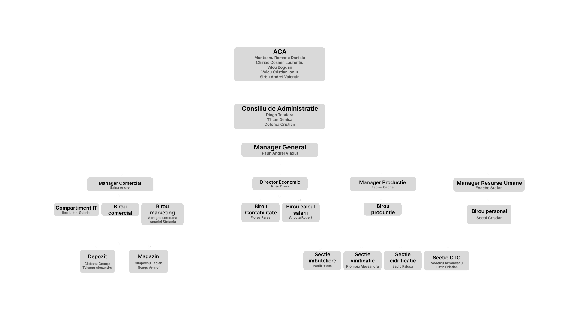 Organigrama Golden Wine